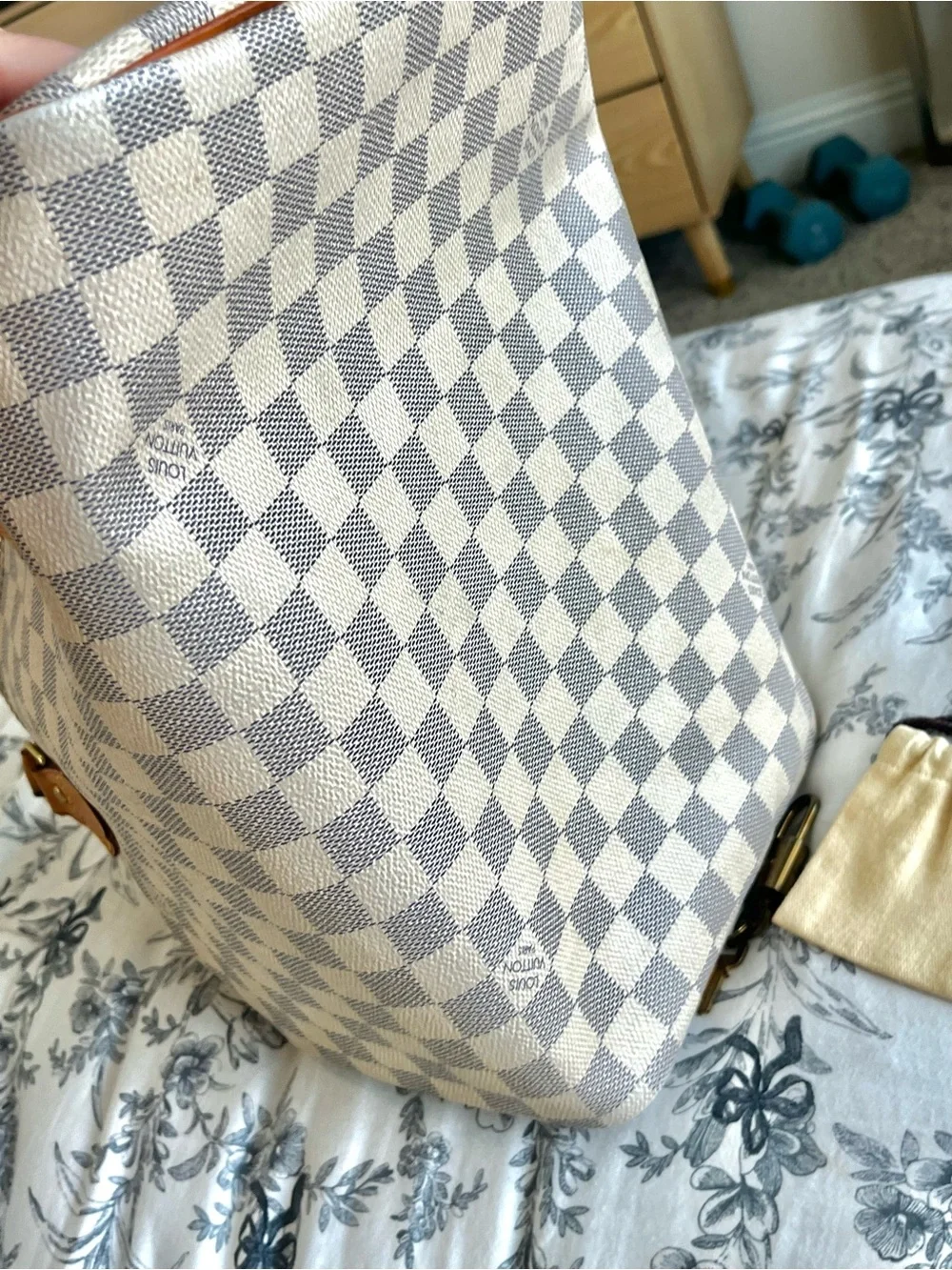 Louis Vuitton iconic louis